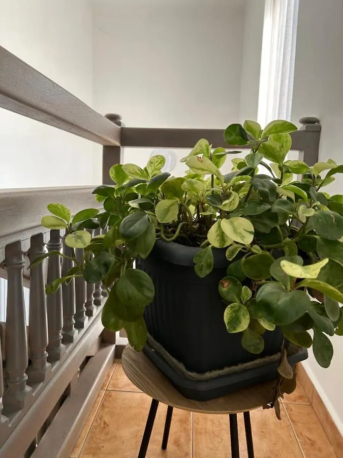 Eros Apartman Hajdúszoboszló
